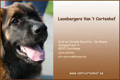 visitekaartje vantcortenhof